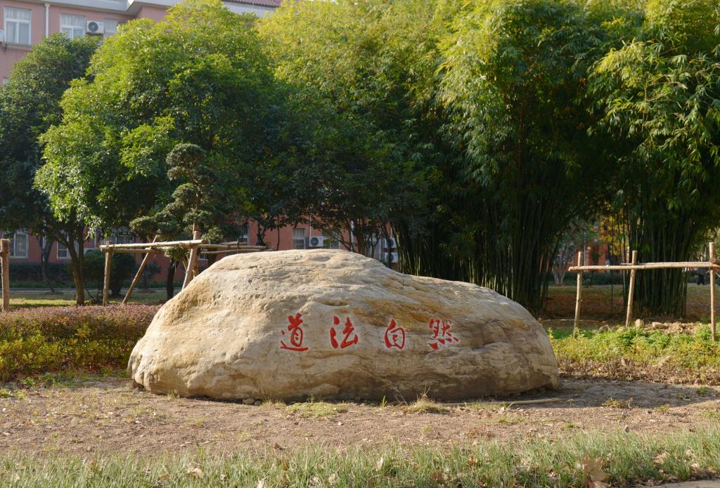 校园文化景观石