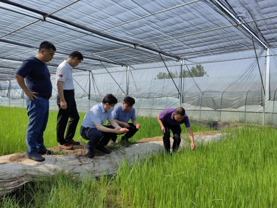 校党委书记刘德富率队赴咸宁市嘉鱼县考察调研