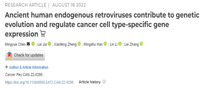 我校青年教师在《Cancer Research》发表最新研究成果