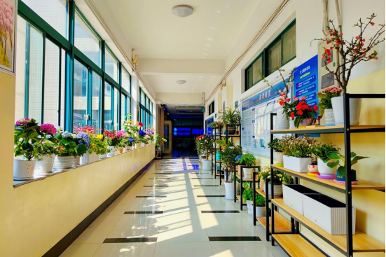 师生齐动手 在教学楼打造“后花园”